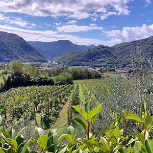 Agriturismo Tenuta La Fratta